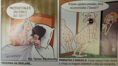 angora.jpg