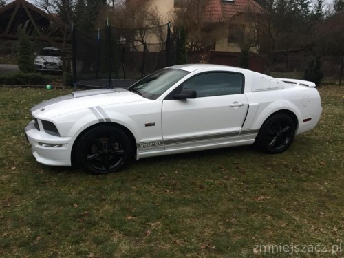 8699343_shelby_gt17.jpg