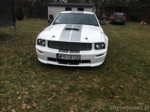 8699360_shelby_gt16.jpg