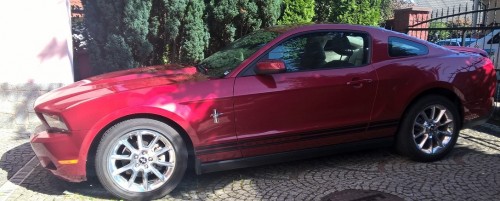 mustang11.jpg