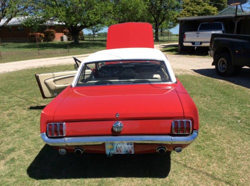 00z0z_4gmghlbMXz2_1200x900.jpg (172.54 KiB) Przejrzano 4591 razy 00z0z_4gmghlbMXz2_1200x900.jpg