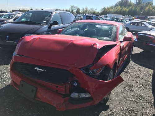 mustangv67.jpg