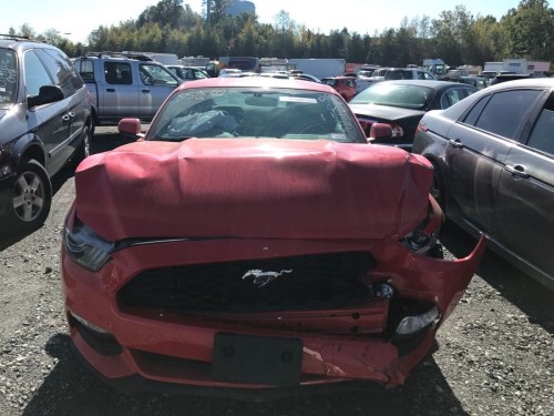 mustangv66.jpg