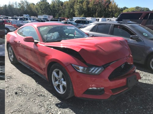 mustangv65.jpg
