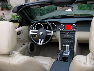 MUSTANG_651227.jpg