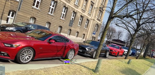 mustang.jpg