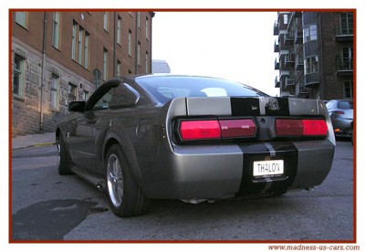 eleanor-gt 2005tyl.jpg
