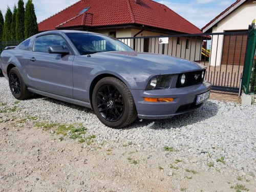 mustang maly.jpg