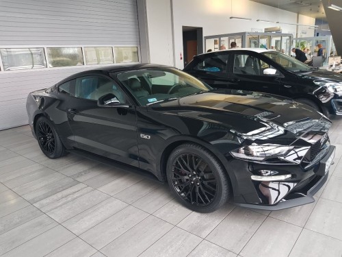 stang.jpg