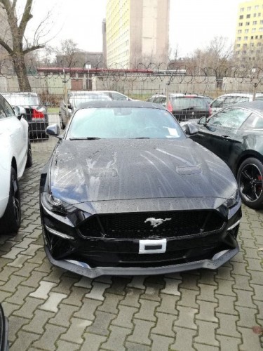 stang2.jpg