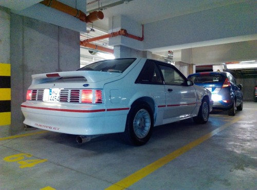 IMAG0854.jpg