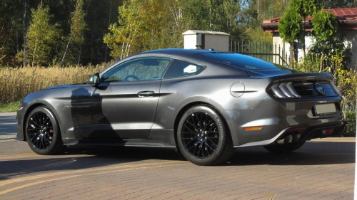 m6.jpg