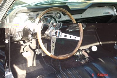 mustang 039.JPG