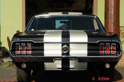 mustang 041.JPG