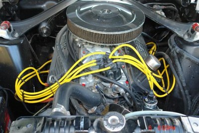 mustang 058.JPG