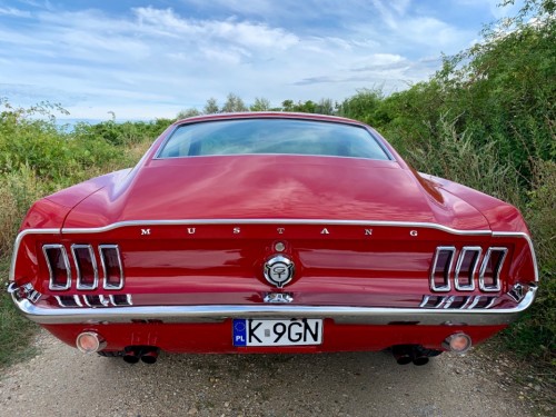 121.jpg (356.31 KiB) Przejrzano 8395 razy 121.jpg