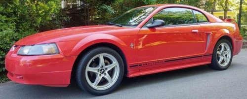 bolo mustang.jpg