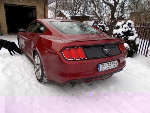 DSCN3854.JPG