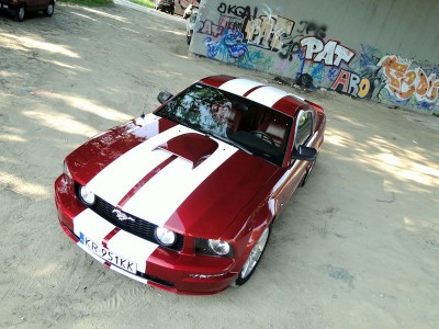 mustang3.jpg