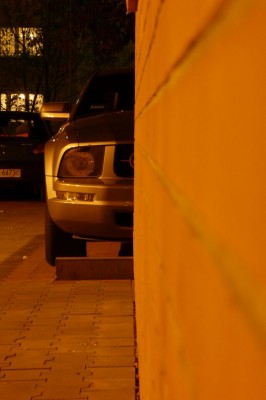 P1050771.JPG