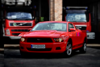 Dorsaj_01.jpg