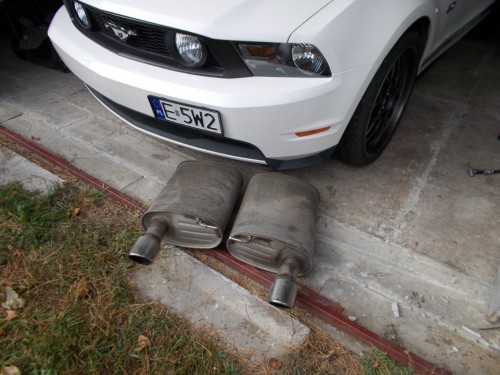 DSCN9803.JPG