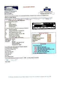FASTBACK MAXA Marti Report.jpg