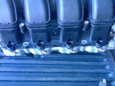 20110820470.jpg