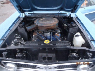 TCLU 833 928-3 133.jpg