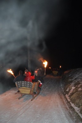 kulig3.jpg