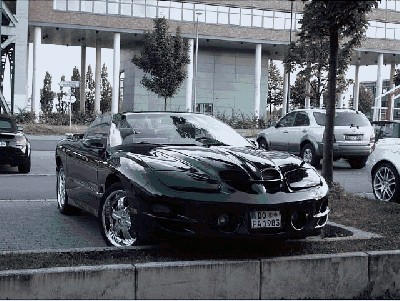 trans am 2001.jpg