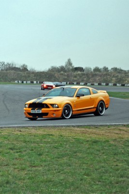 stang2.jpg