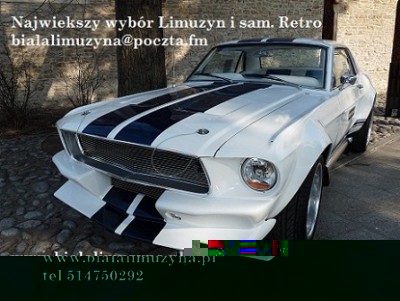 mustang 68 stary sacz.jpg