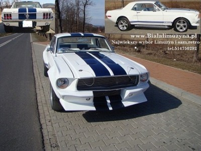mustang 1111.jpg