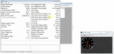 mustang_idle.jpg