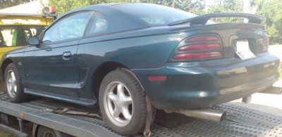 stang.jpg