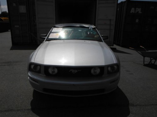 dscf6508.jpg