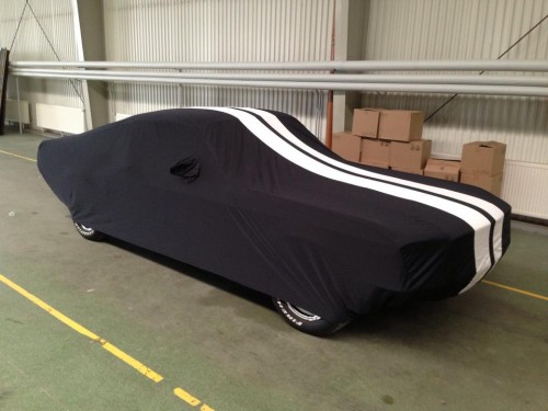 stang_covered.jpg