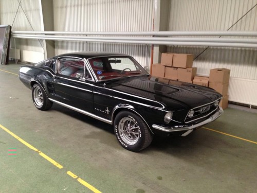 stang_naked.jpg