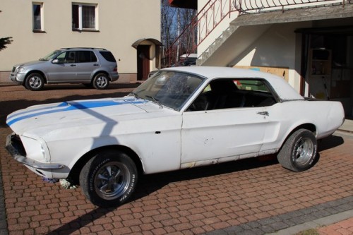 1 (Kopiowanie).jpg
