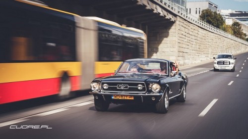 stang3.jpg