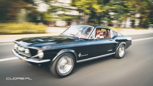 stang2.jpg