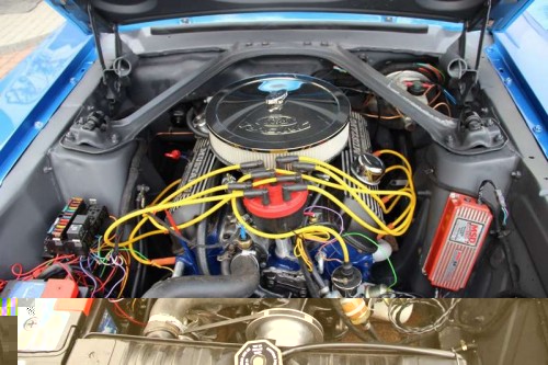 Mustang_2595 (Kopiowanie) (Kopiowanie).JPG