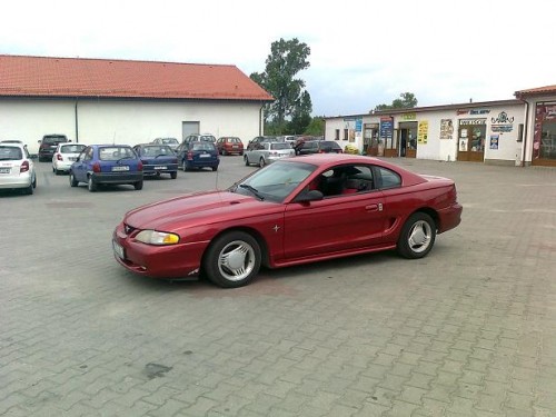 Zdjęcie5057.jpg