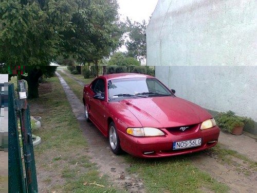 Zdjęcie5819.jpg