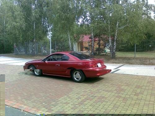 Zdjęcie5737.jpg
