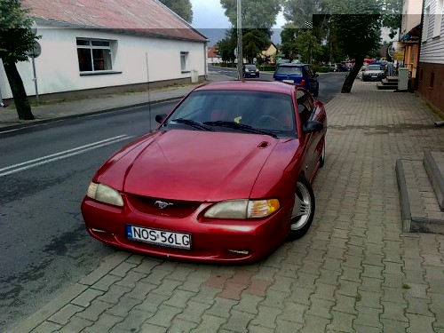 Zdjęcie5867.jpg