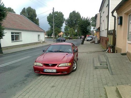 Zdjęcie5866.jpg