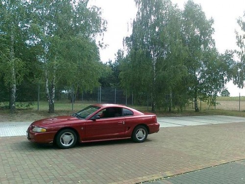 Zdjęcie5732.jpg