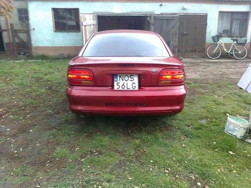 Zdjęcie5983.jpg